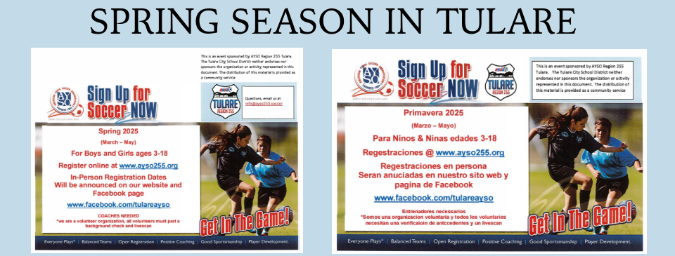 spring league tulare